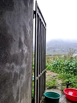 phay79 online show from 5, 3, 2026