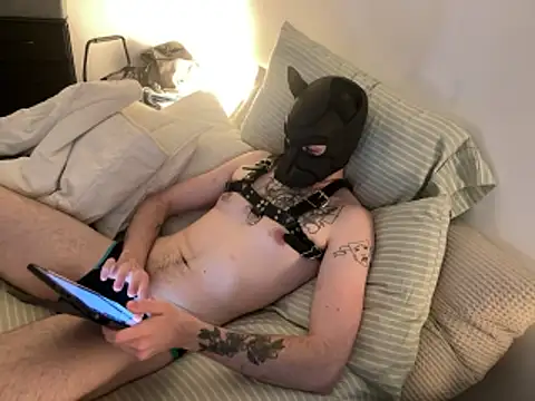 Snapshot of BraxtonArcher01 chatting on 22, 3, 2026 BraxtonArcher01 online show from 22, 3, 2026