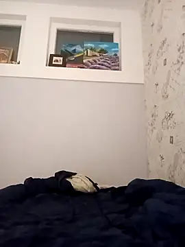 NotForAlll online show from 2, 4, 2026