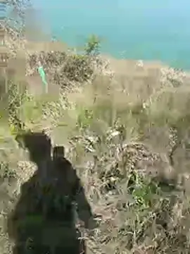 mariaplaya online show from 8, 4, 2026