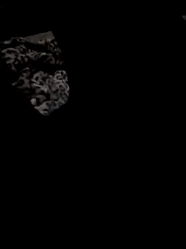 sexydz213 online show from 3, 4, 2026