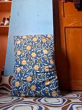 hotindboy online show from 28, 2, 2026