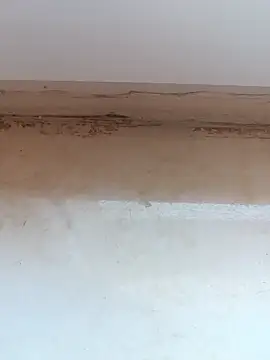 jeniferoo online show from 11, 3, 2026