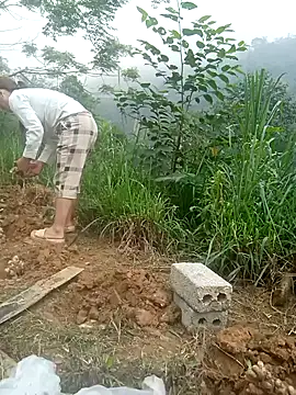 dualeo11 online show from 29, 3, 2026