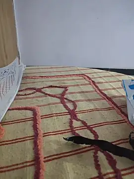 Tamillaxmi12 online show from 6, 3, 2026