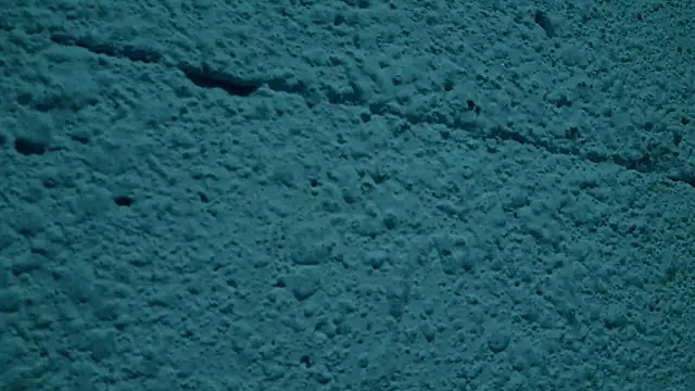 Snapshot of LYNN_N_SAMUEL chatting on 13, 4, 2026 LYNN N SAMUEL online show from 13, 4, 2026