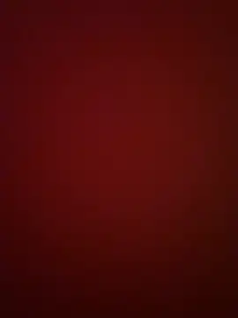 BeeMay22 online show from 29, 3, 2026