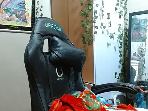 lolit cat online show from 23, 7, 2026