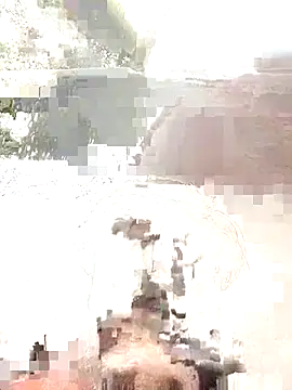 areee214 online show from 23, 7, 2026