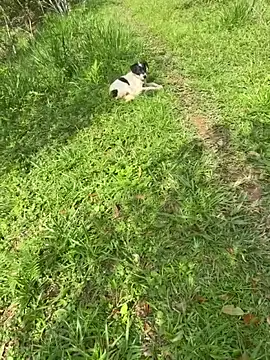 Zoe Luxxe  online show from 23, 3, 2026