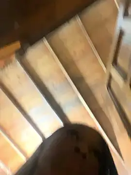 LiaTrainor online show from 20, 3, 2026