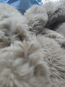 Naomimolie online show from 15, 4, 2026