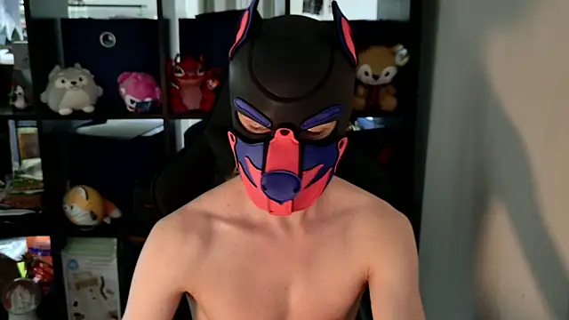 MellPUP online show from 8, 6, 2026
