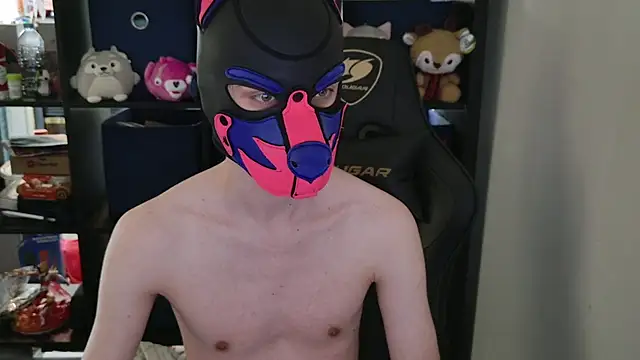 MellPUP online show from 28, 4, 2026