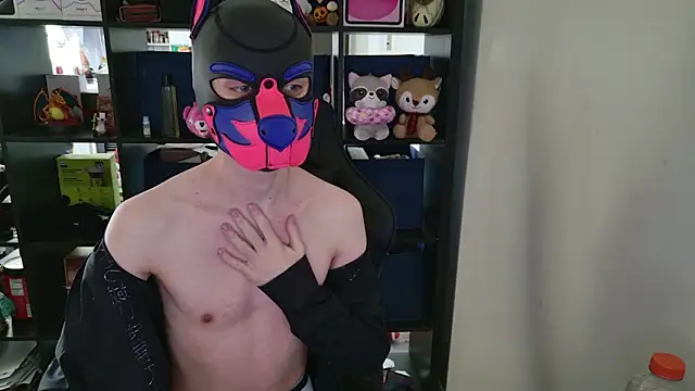 Snapshot of MellPUP chatting on 31, 3, 2026 MellPUP online show from 31, 3, 2026