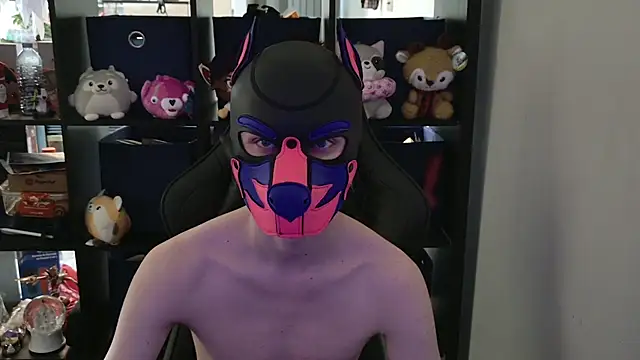 MellPUP online show from 29, 4, 2026