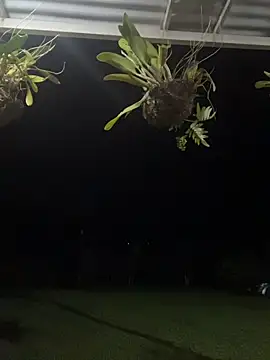 isabella ferrer99 online show from 8, 3, 2026