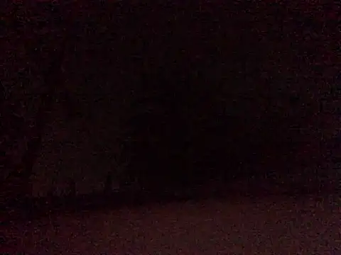 Donkie909 online show from 9, 4, 2026