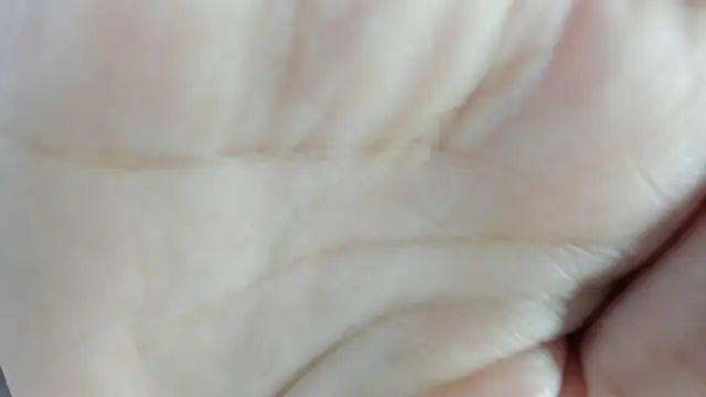 Angell cherryht online show from 28, 3, 2026