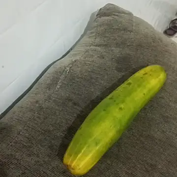 puta casada online show from 7, 3, 2026