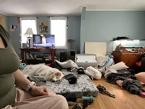 highimmaryjane online show from 25, 3, 2026