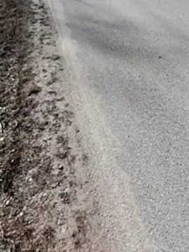 Polishboyek online show from 10, 3, 2026