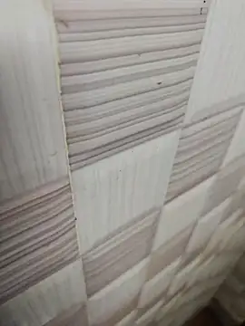 Snapshot of sanju470 chatting on 21, 3, 2026 sanju470 online show from 21, 3, 2026