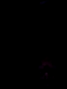 tordilho69RS online show from 5, 3, 2026