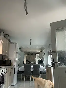 BunnyBallyX online show from 15, 4, 2026