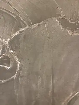 sharks90 online show from 9, 4, 2026