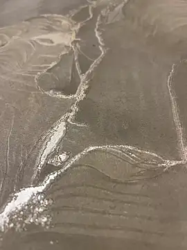 sharks90 online show from 19, 3, 2026