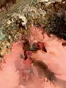 sharks90 online show from 5, 4, 2026