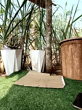 Tini-mimi online show from 3, 4, 2026