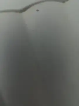 Cr1sXPorn online show from 29, 3, 2026