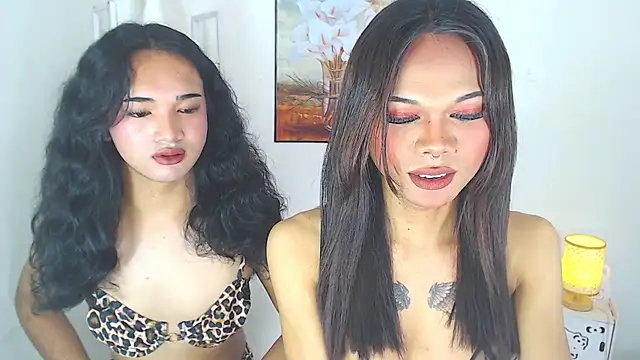 MaterialDuoTransxxx online show from 9, 3, 2026