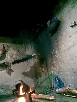 Bling-pusy online show from 31, 3, 2026