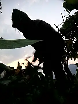 Bling-pusy online show from 8, 4, 2026