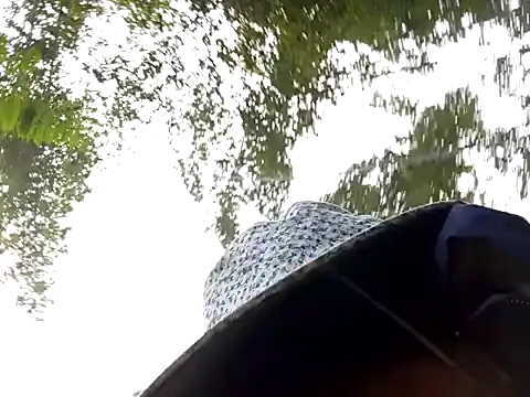 Yellow-pink online show from 13, 3, 2026