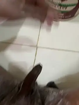 Chotiluli4 online show from 9, 3, 2026