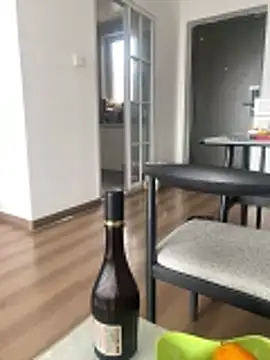 xiaoyi-10 online show from 12, 4, 2026