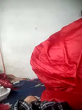 Delhi Patola online show from 13, 4, 2026