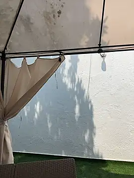 Bella-Ferrer online show from 17, 3, 2026