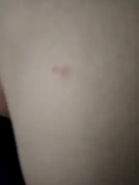 Amanda  ena- online show from 11, 4, 2026