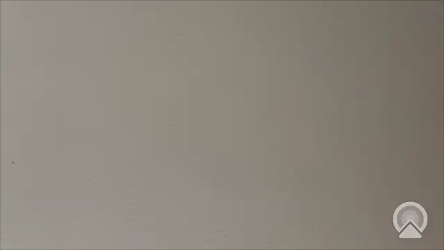 Snapshot of Shynesse21 chatting on 26, 3, 2026 Shynesse21 online show from 26, 3, 2026