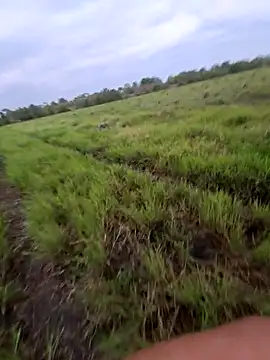 biker257 online show from 12, 3, 2026