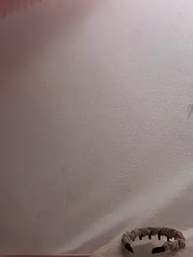 Drieevisexxx online show from 17, 4, 2026