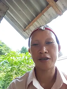 Heli pusy online show from 25, 6, 2026