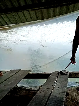 kalara kail online show from 25, 3, 2026