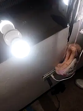 dantegomes online show from 20, 4, 2026