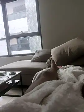 Snapshot of junzi0877 chatting on 16, 3, 2026 junzi0877 online show from 16, 3, 2026